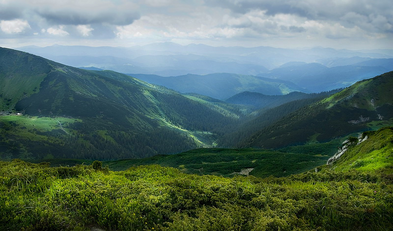 Отдых в Карпатах