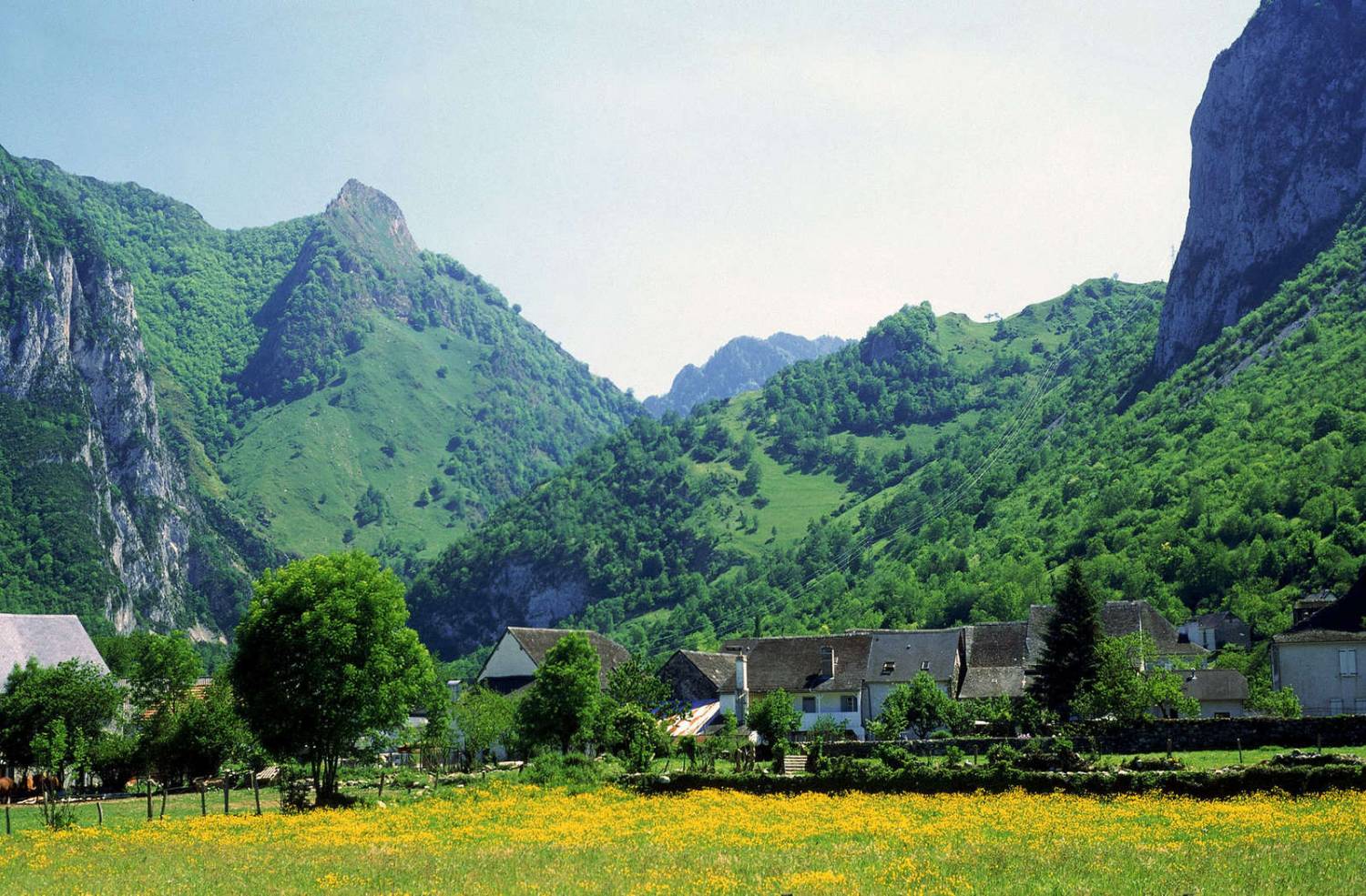 Что делать в Карпатах летом?